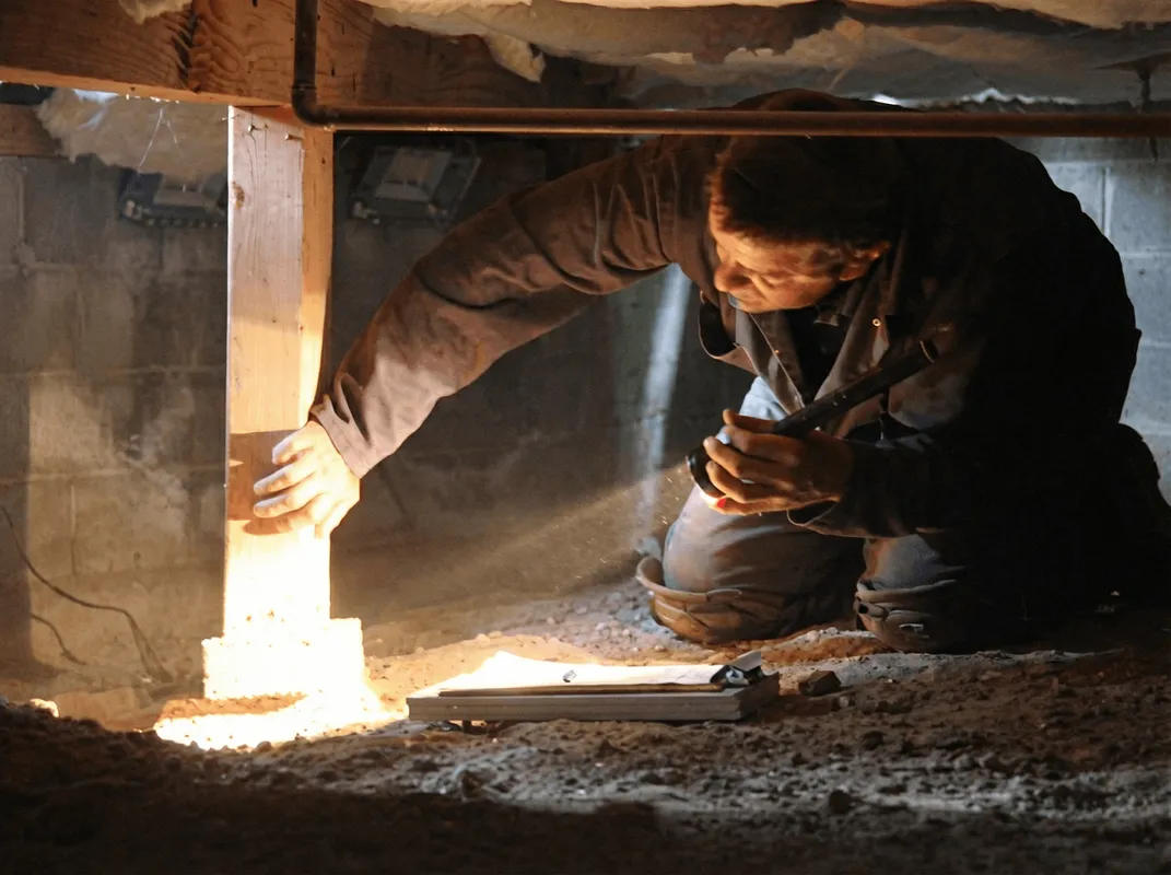 A professional inspecting wooden beams under the floor of a structure in Cincinnati, OH